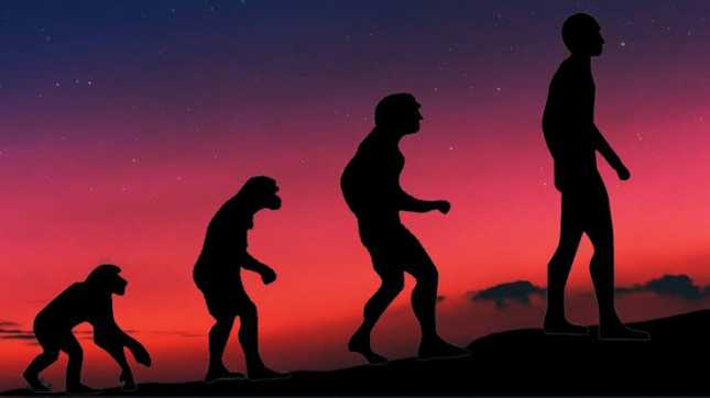 Pergeseran Besar Evolusi Manusia, Budaya Kini Diduga Lebih Dominan Daripada Genetika