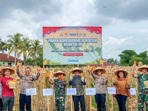 Wesly Diwakili Zainal Siahaan Bersama Forkopimda Panen Raya Jagung Serentak di Siantar Marimbun