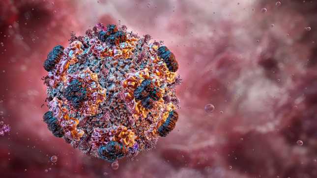 Hantavirus Andes: Mengapa Virus dengan Empat Protein Bisa Membunuh Begitu Cepat?